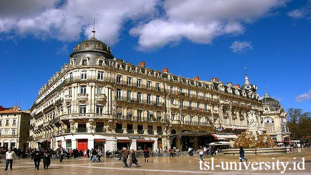 Université Montpellier I: Institusi Pendidikan Tinggi Bersejarah